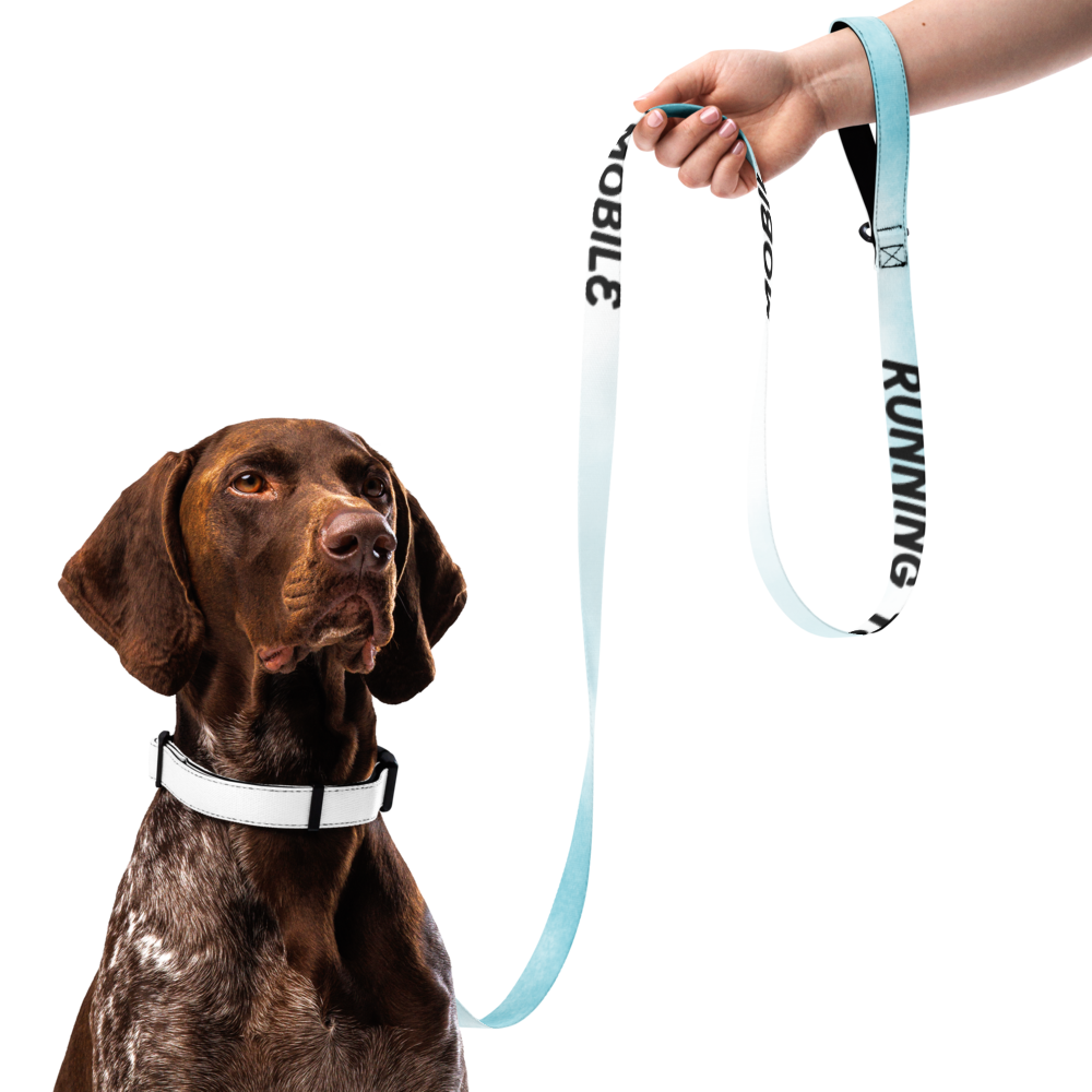 Wag & Read Pet Collar Set