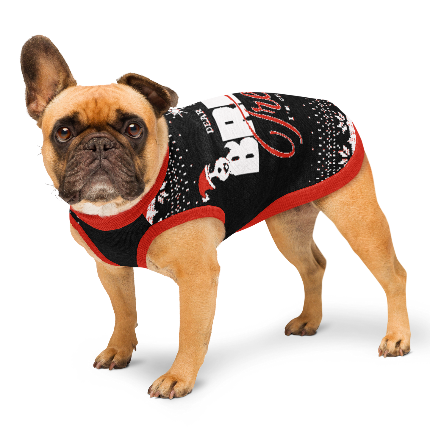 Dear Santa, Bring Treats | Pup Sweater