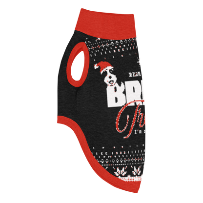 Dear Santa, Bring Treats | Pup Sweater