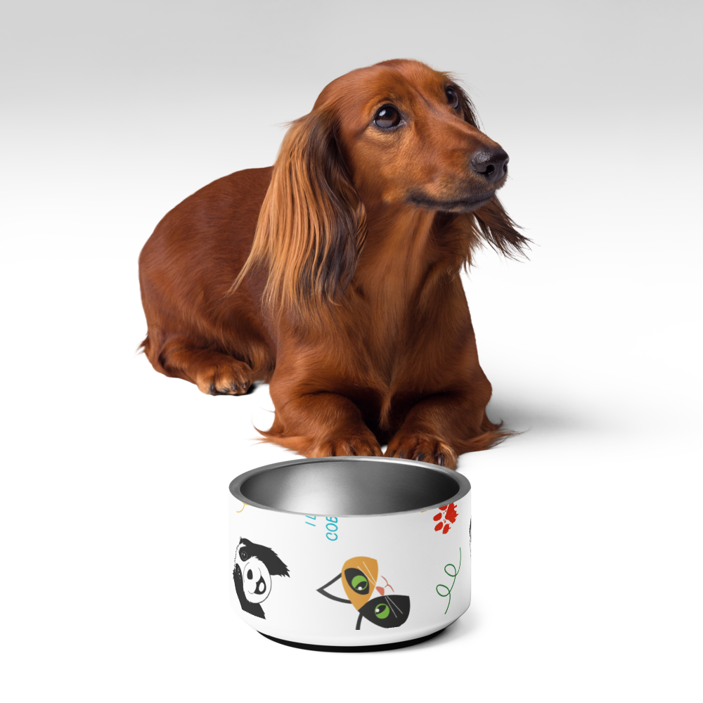 Dewey & Rita’s Dinnertime Pet Dish