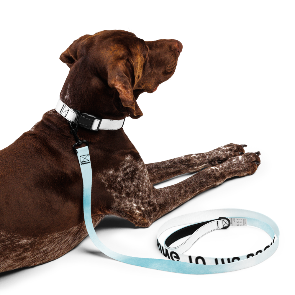 Wag & Read Pet Collar Set