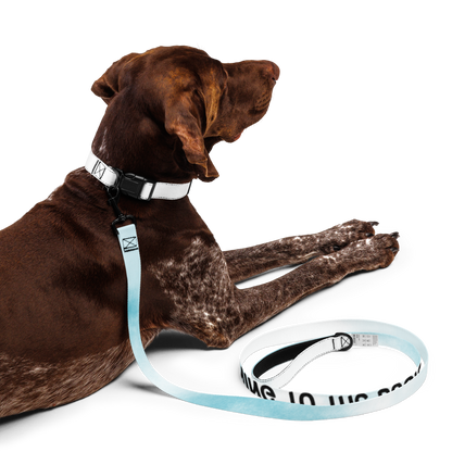 Wag & Read Pet Collar Set