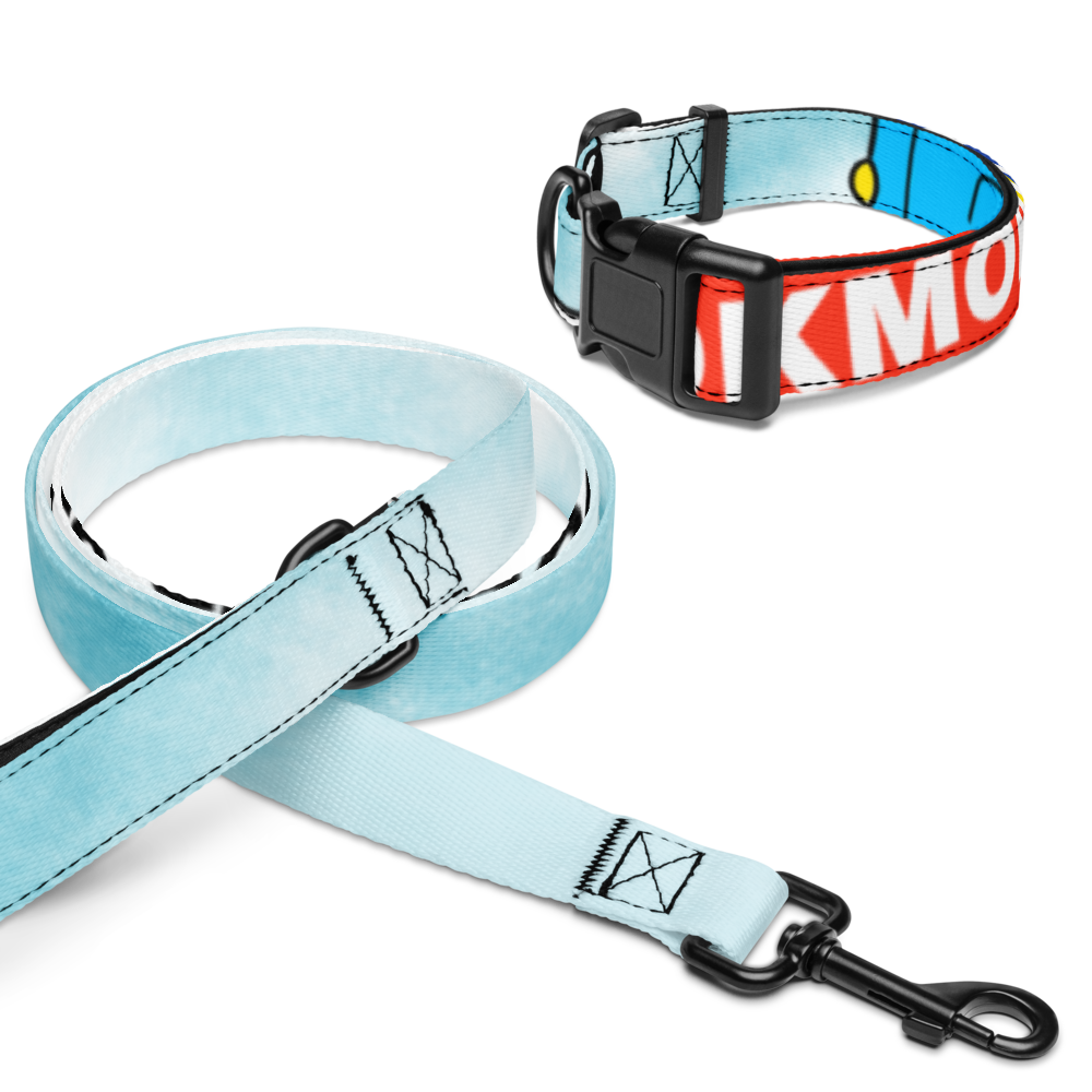 Wag & Read Pet Collar Set