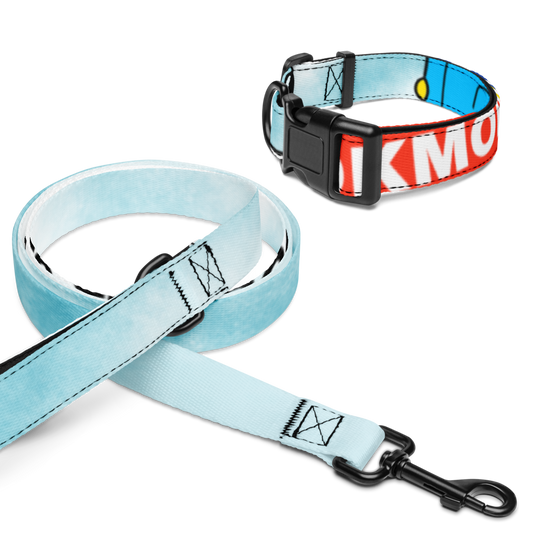 Wag & Read Pet Collar Set